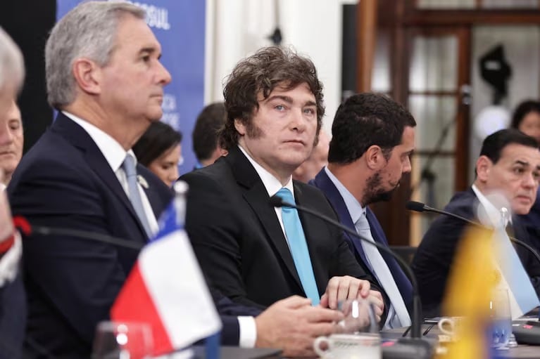 Javier Milei en el Mercosur