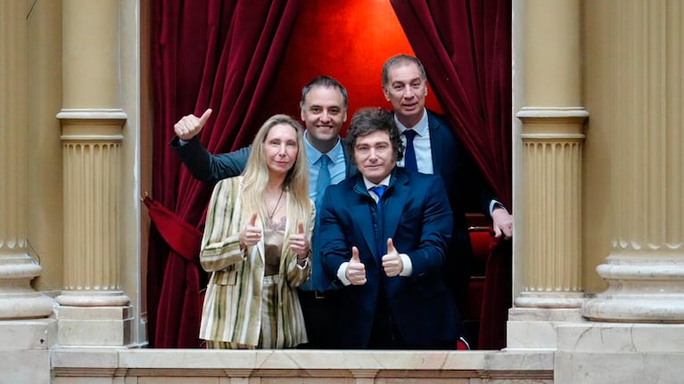 Javier Milei estuvo durante la jura de los diputados nacionales.