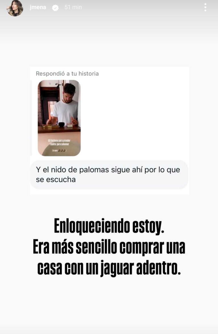 Jimena Barón lucha contra un invasión de palomas. (Foto: Instagram/@jmena)