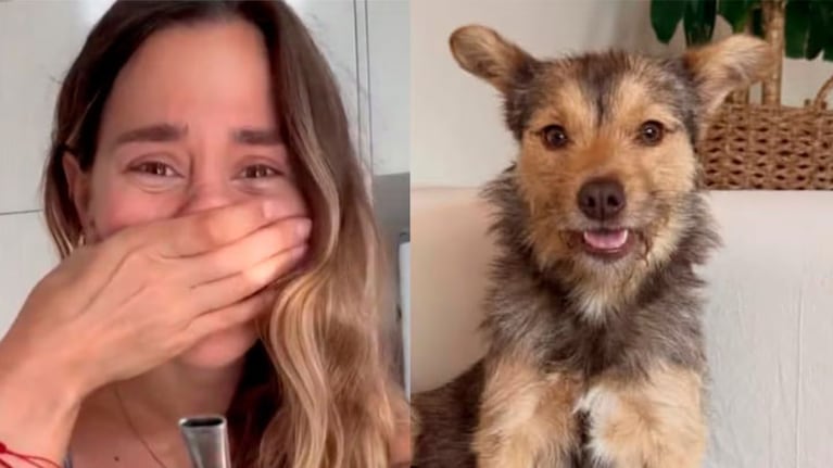 Jimena Barón se convirtió en abuela de cachorros.