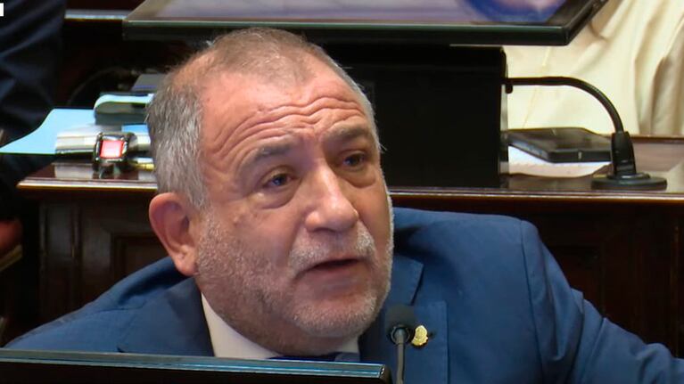 Juez contó que Milei lo llamó “chocho” tras la aprobación de la Ley Bases y dijo por qué tienen “onda”