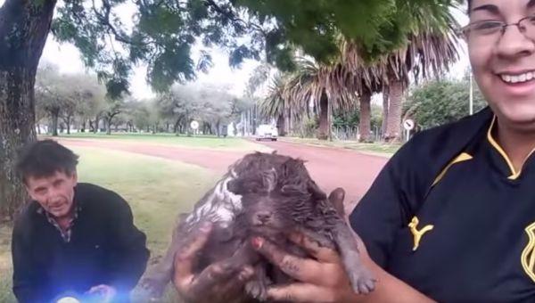 Jugada maniobra para rescatar unos cachorros atrapados en un desagüe.