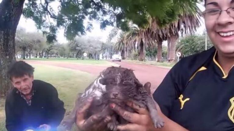 Jugada maniobra para rescatar unos cachorros atrapados en un desagüe.