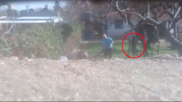 Julio Alba colgó a su perro de un árbol y lo torturó varios minutos. / Foto: Captura de video