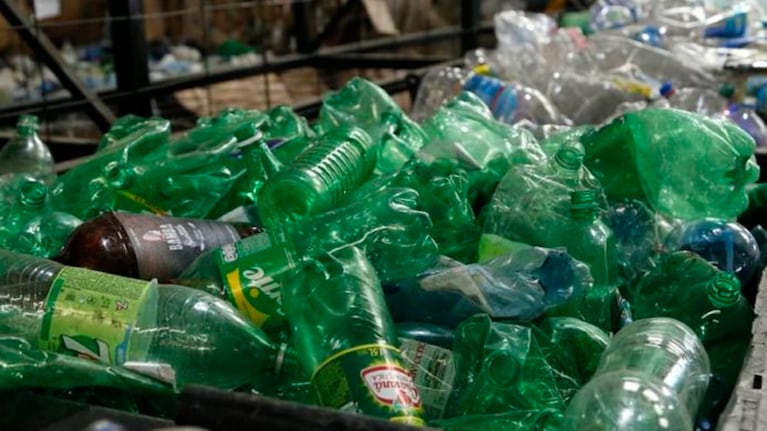 La actividad busca concientizar por el cambio climático.