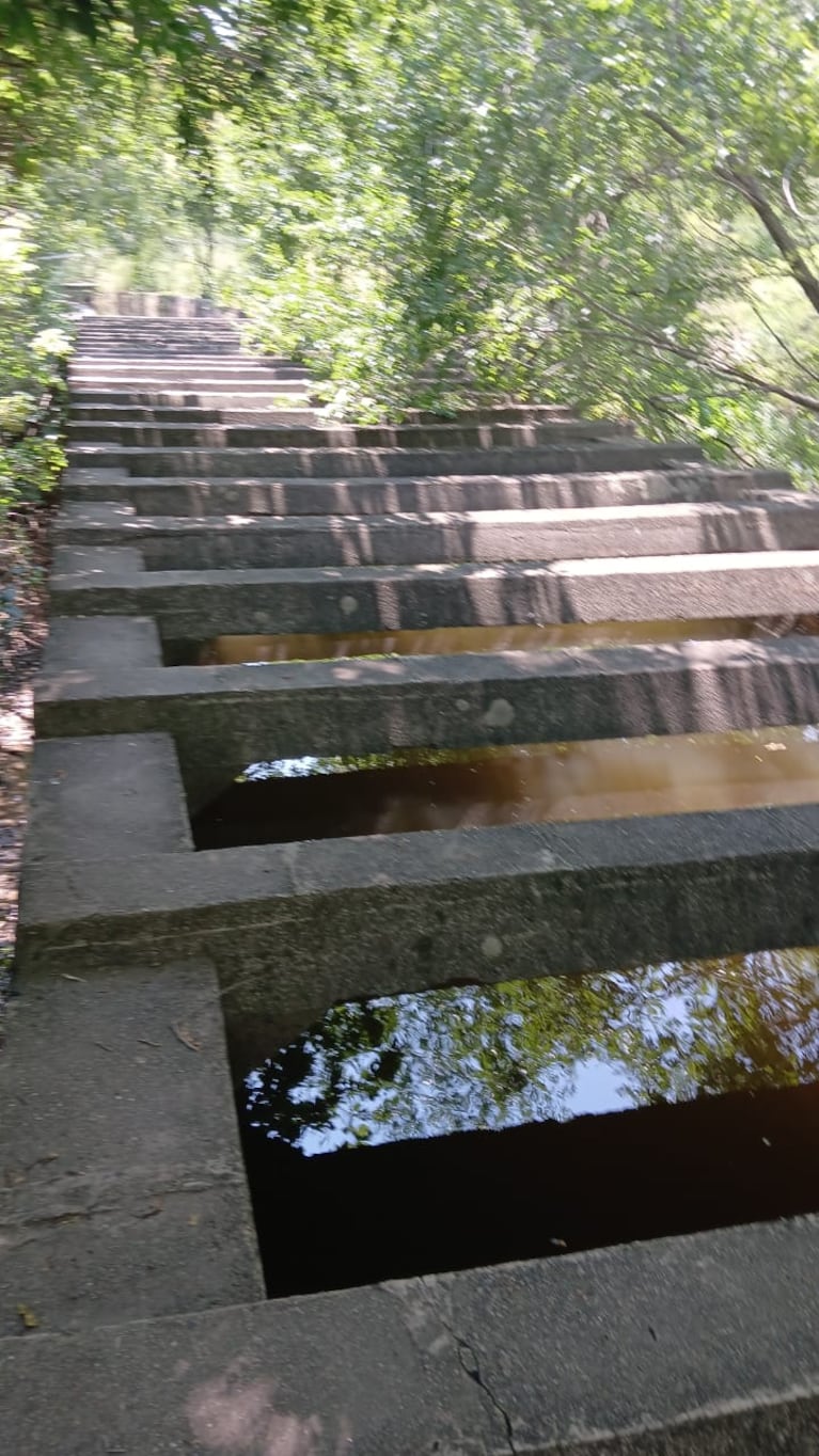 La anciana cayó al curso de agua y se ahogó.