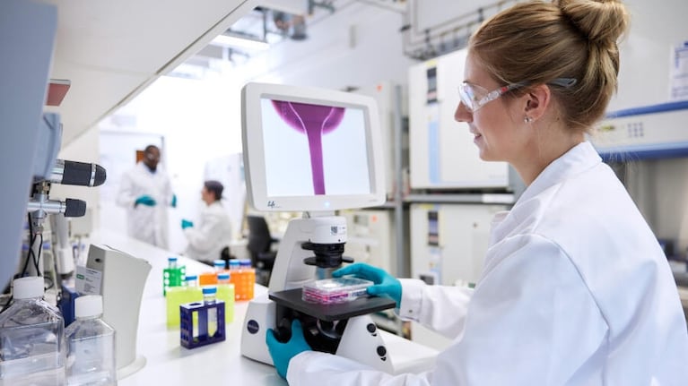 La Anmat aprobó el uso de un nuevo chip anticonceptivo que dura cinco años: cómo funciona