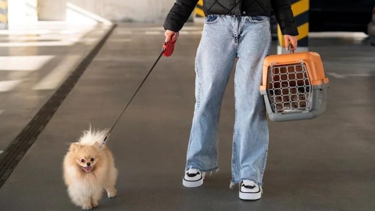 La autorización rige para los servicios que operan bajo jurisdicción nacional.