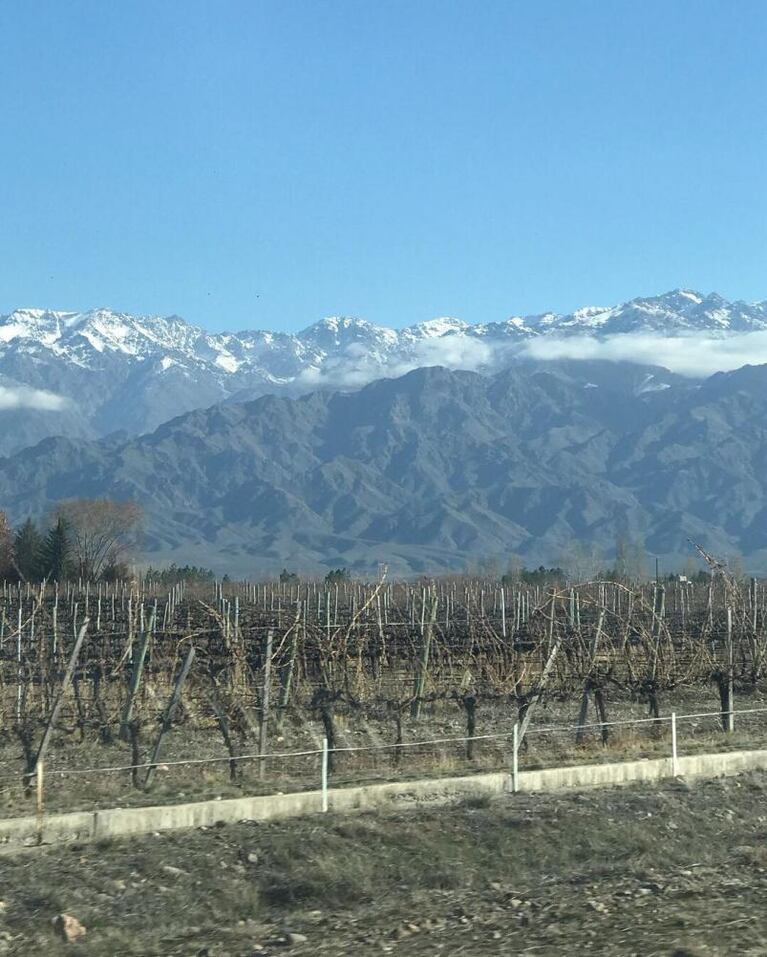 La Barra realizó la ruta del vino