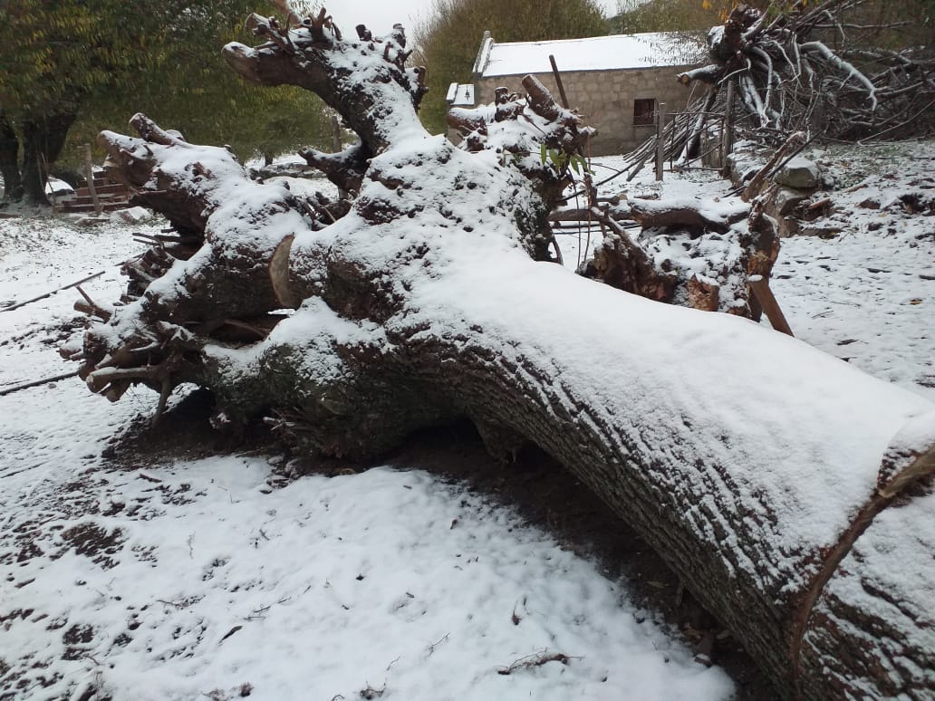 La base del Cerro Champaquí amaneció blanca. Foto enviada por Marina Polteau.