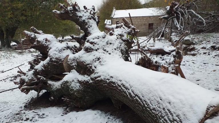La base del Cerro Champaquí amaneció blanca. Foto enviada por Marina Polteau.