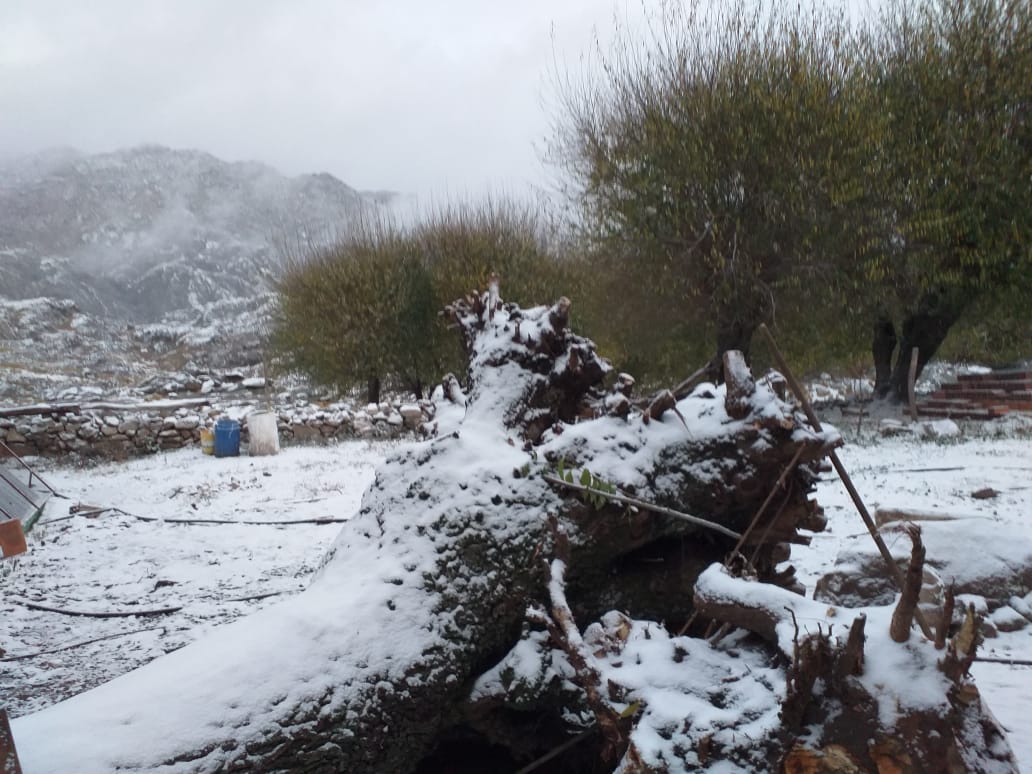 La base del Cerro Champaquí amaneció blanca. Foto enviada por Marina Polteau.