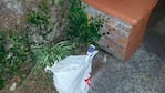 La bolsa de basura donde estaba el bebé.