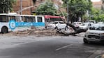 La caída ocurrió en Colón y Urquiza. 