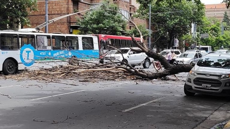 La caída ocurrió en Colón y Urquiza.