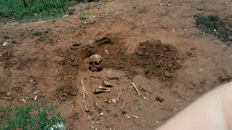 La calavera apareció en el patio de una vivienda en Villa del Rosario.