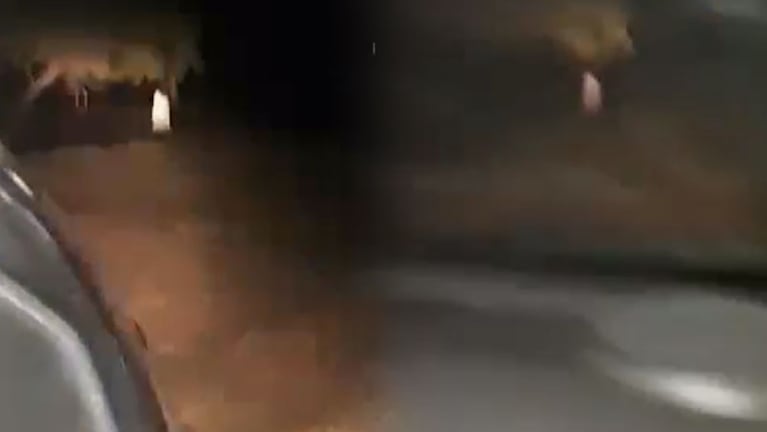 La captura del video muestra a la extraña figura en plena noche.