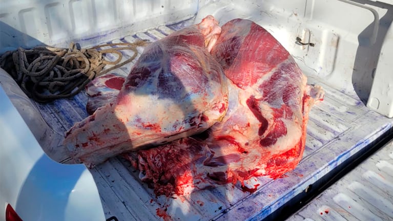 La carne decomisada en Villa San Nicolás.