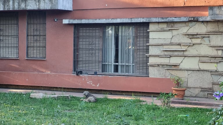 La casa donde ocurrieron los femicidios en Córdoba.