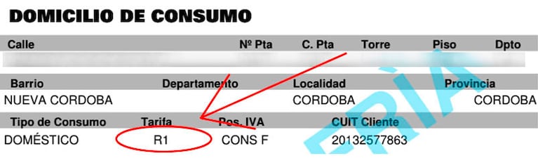 La categoría de consumo figura debajo del domicilio en la factura de Ecogas.