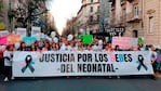 La causa del Hospital Materno Neonatal espera su elevación a juicio.