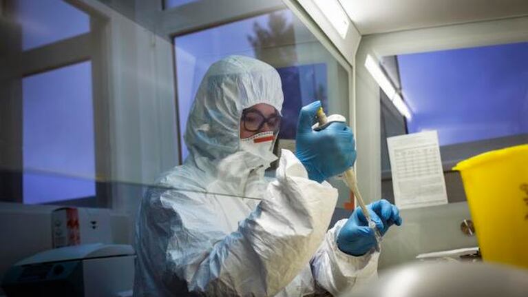 La ciencia intenta buscar soluciones a la pandemia.