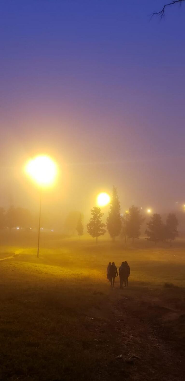 La ciudad amaneció tapada de niebla