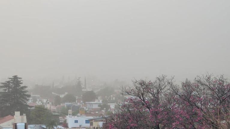 La ciudad quedó tapada por el polvo. Foto: Francisco Arias/El Doce.