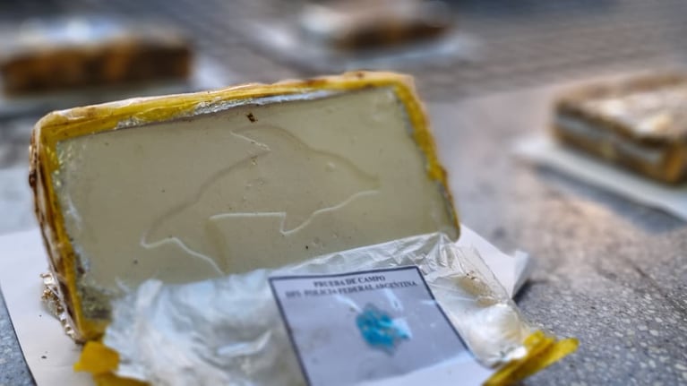 La cocaína iba oculta en la bodega del colectivo que llegó desde Jujuy.
