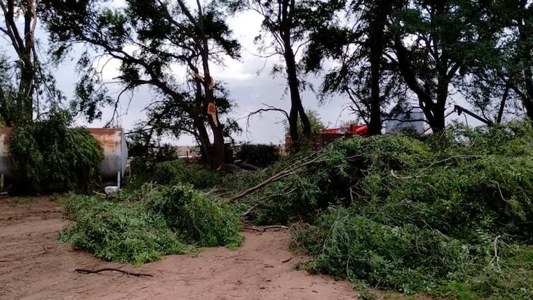 La cola de un tornado provocó destrozos en el sur de Córdoba