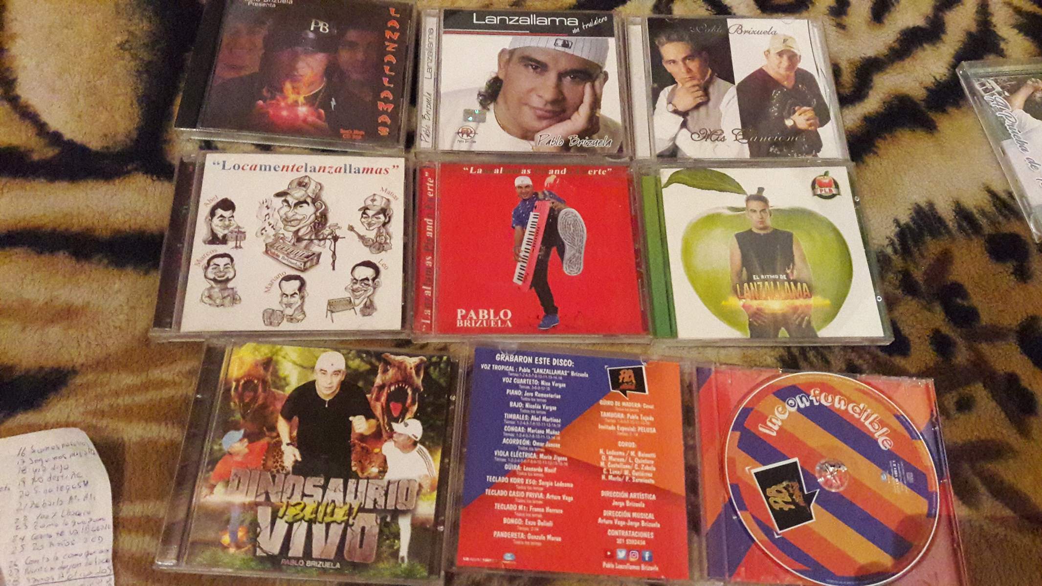 La colección de discos de Pablo Lanzallamas Brizuela.