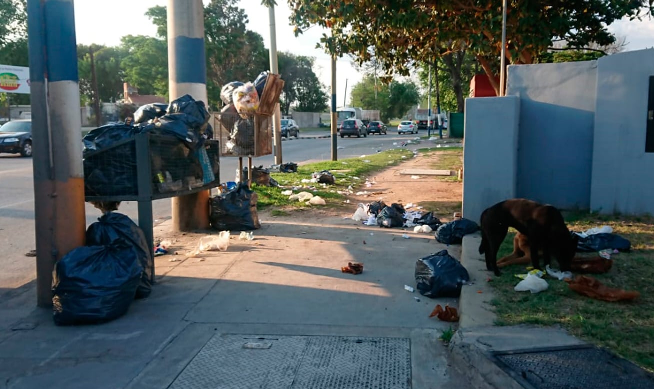 La contaminación se ganó las calles del barrio Comercial.