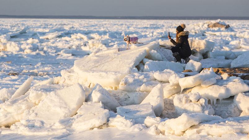 La costa este de Estados Unidos soporta temperaturas de hasta 20 grados bajo cero.