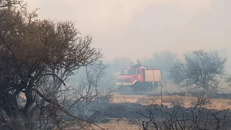 La denuncia en las oficinas de EPEC fue hace tres meses según el cuidador del campo.