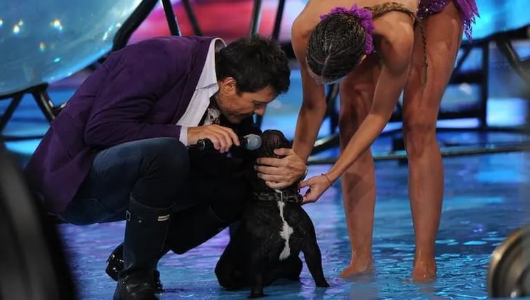 La desgarradora despedida de Paula Chaves a su perro Moro: “Me duele el alma”