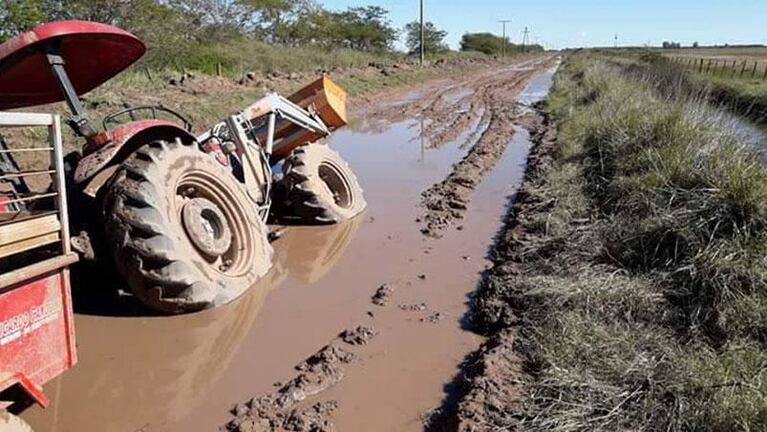 La desolación de los productores: “Seguimos peleando”