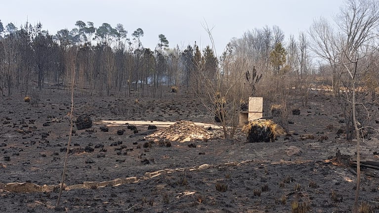 La desolación en Calamuchita tras los incendios. Foto: Juan Pablo Lavisse / ElDoce.tv