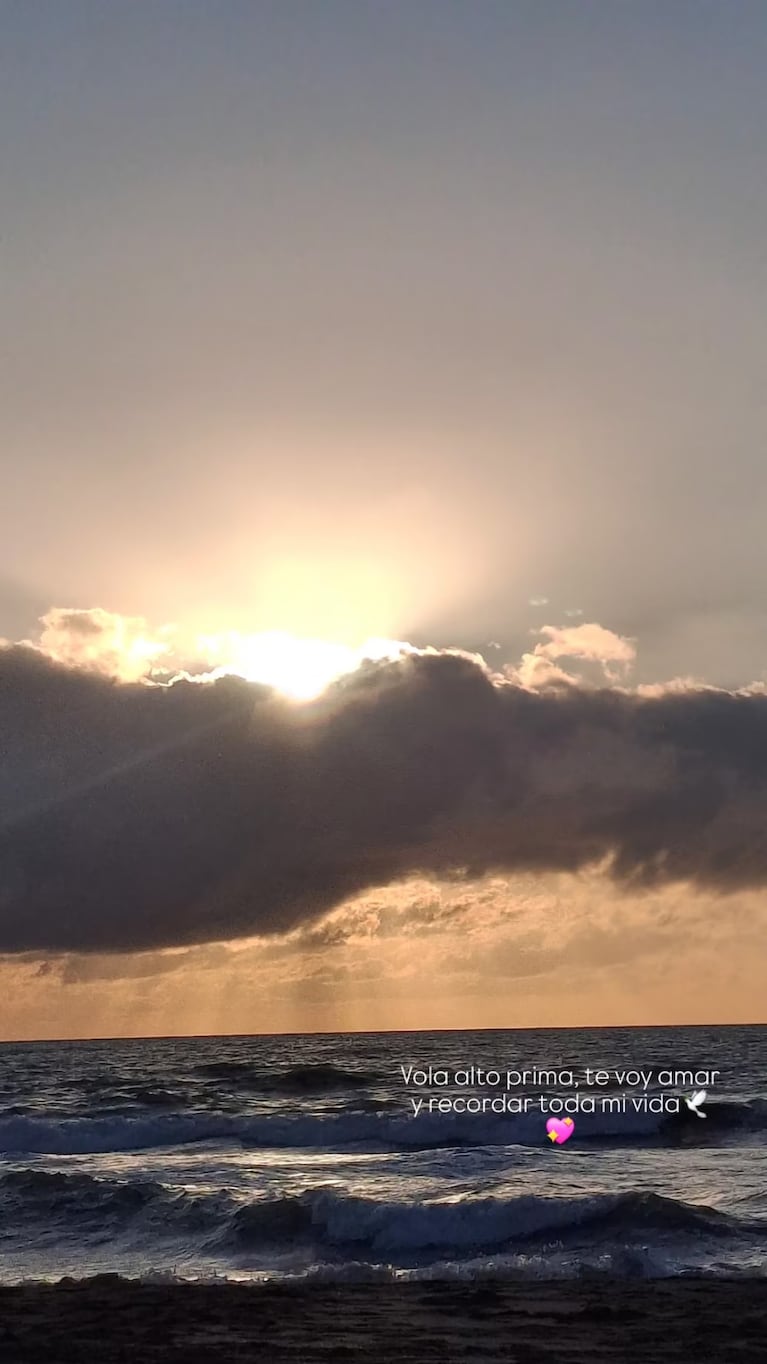 La despedida de su familia en redes.