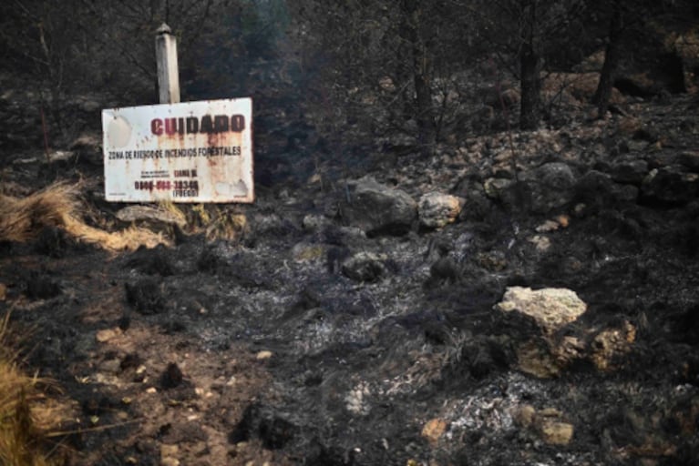 La destrucción de la vegetación por el fuego elimina una barrera natural clave para la filtración y regulación del agua.