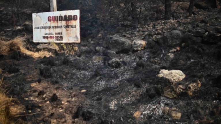 La destrucción de la vegetación por el fuego elimina una barrera natural clave para la filtración y regulación del agua.