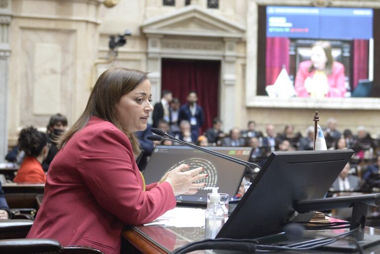 La diputada del Frente de Todos fue electa por los legisladores para presidir la Cámara baja.