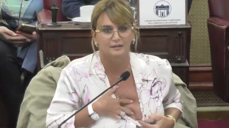 La diputada sostuvo que sus faltas respondieron a motivos de salud.