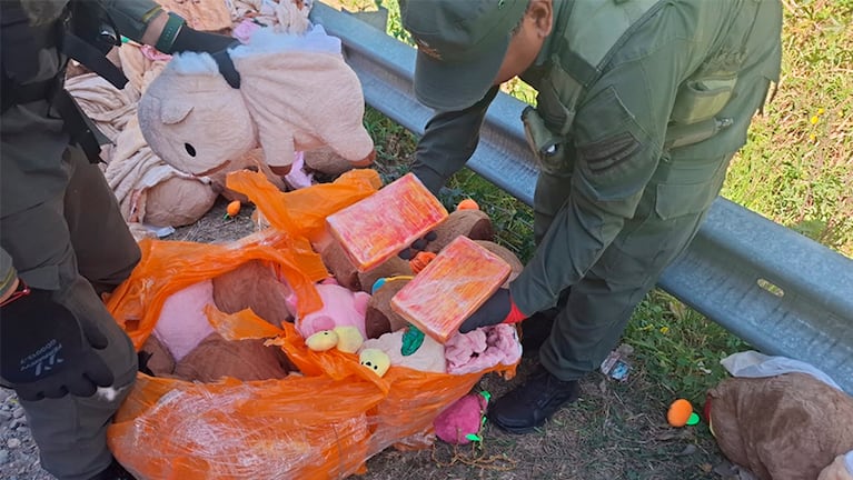 La droga era trasladada en capibaras de peluche. Foto: Gendarmería.