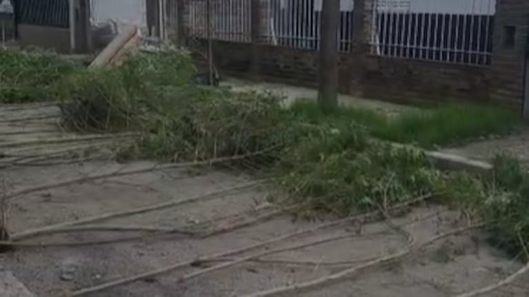 La droga estaba en una casa de barrio Renacimiento.