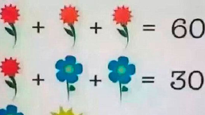 La ecuación de flores que complicó a los internautas.