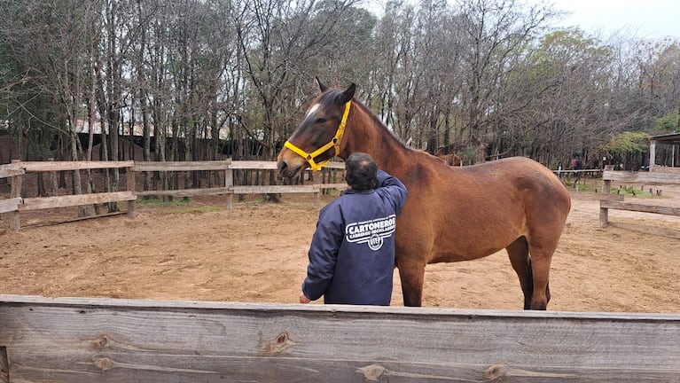 La emoción de Hijitus, un carrero que entregó su caballo y recibió un motovehículo.