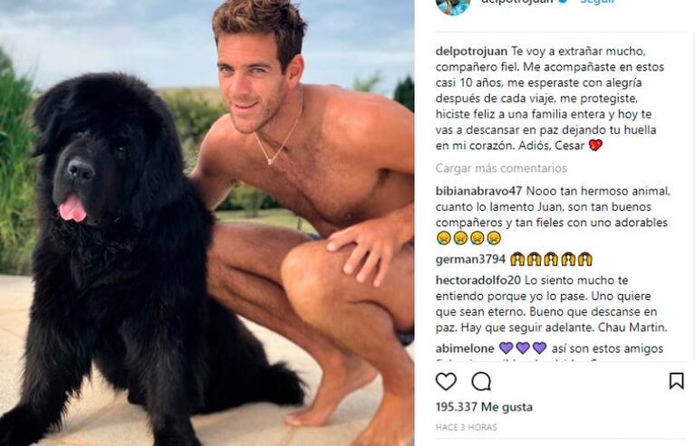 La enorme tristeza de Juan Martín del Potro por la muerte de su perro César