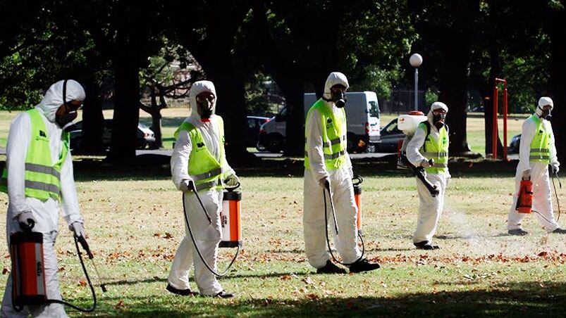 La epidemia a nivel nacional continuará sumando casos hasta abril.