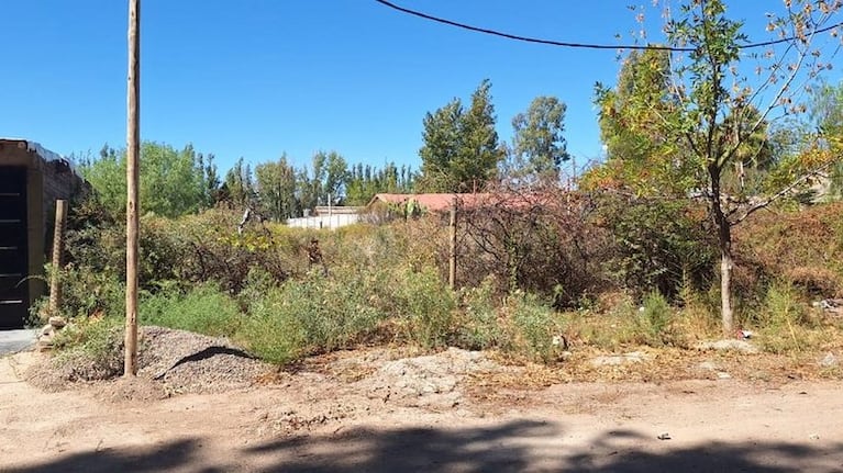 La estudiante denunció que un vecino la secuestró y violó. (Foto: Gentileza RE/MAX)
