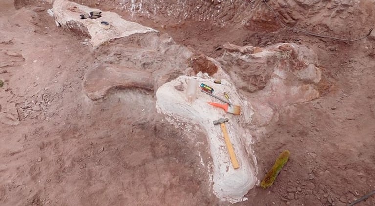 La excavación llevada adelante por el Conicet para dar con el dinosaurio.